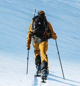 Salomon QST 185cm